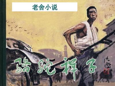 深入了解 含羞草红豆网